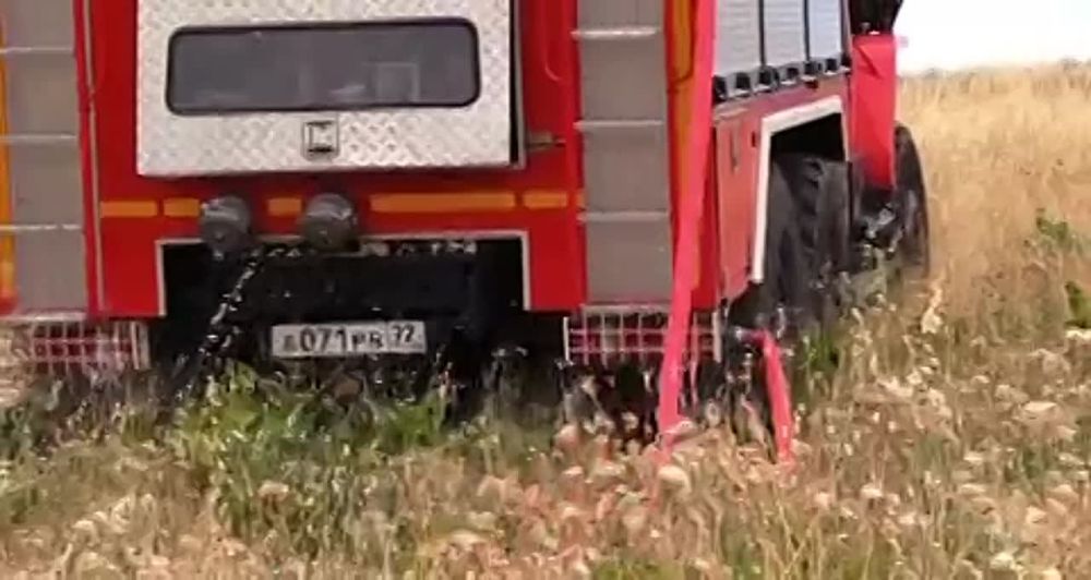 ����� �� �������� ������� ����������� ��������� ������������� � ��� �����������