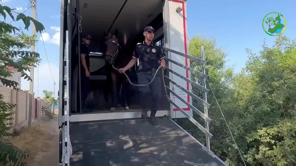 �� ������ ����������, ��� ������ ����������� ��������������� ����