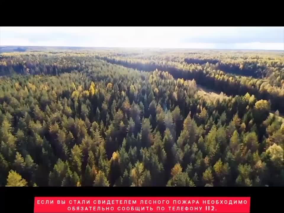 �������� ��������� ������� ������� �������� ���������� ������ � ������������ ������
