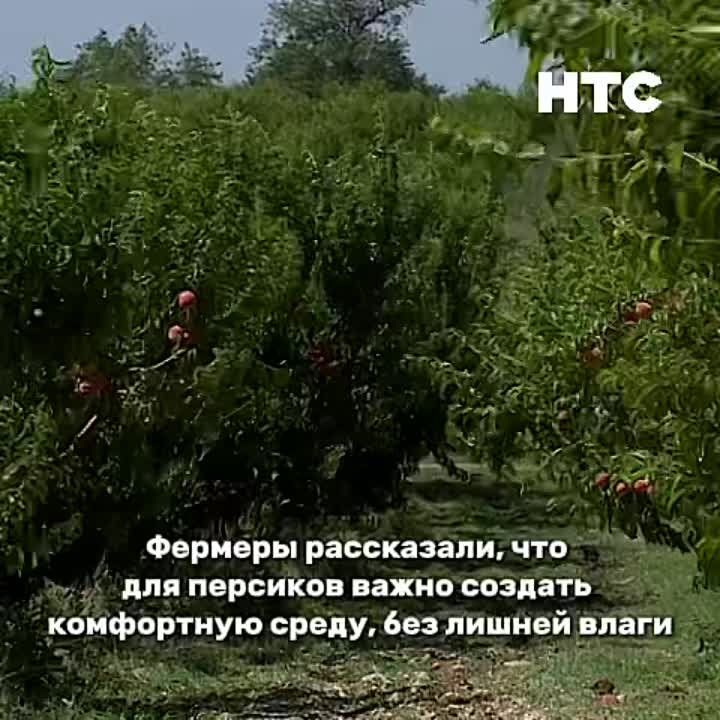�������� ��� �������� �������: ����� ����� �������� �� ����������� � ����� �������
