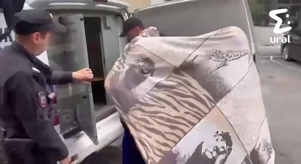 �������� � ������������� ������� ������� ����-������ � �������������