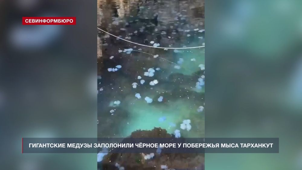 ���������� ������ ���������� ׸���� ���� � ��������� ���� ���������