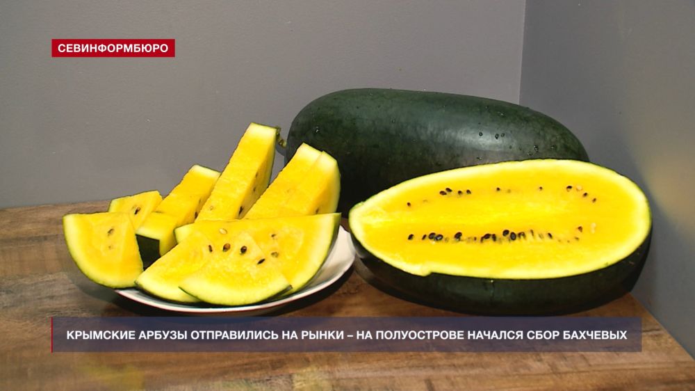 ������������ � ����������: �� ����� ����� �������� ������ ������ ������