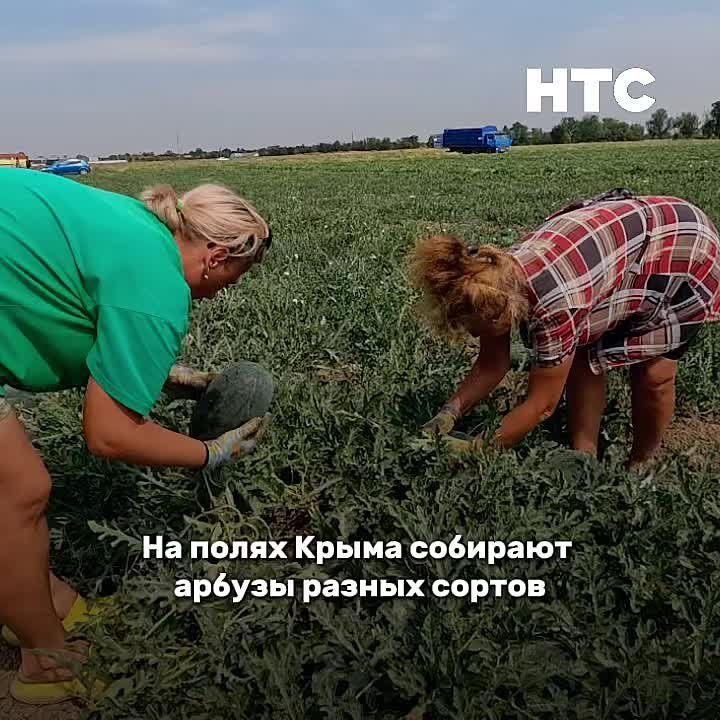 ������������ � ����������: �� ����� ����� �������� ������ ������ ������