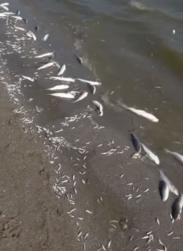 �� ��������� ����� ��������� ������ ����