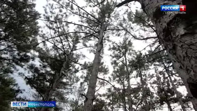 � ������������ ��� � ����������� ������ �������� ����