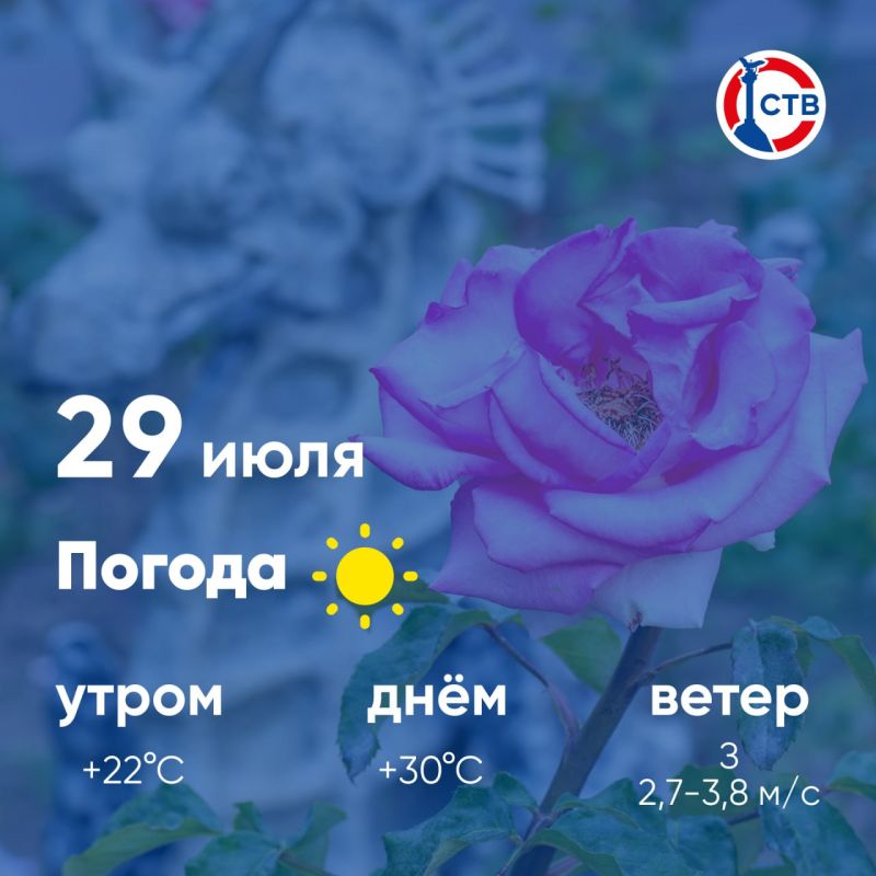������ ����, �������������! �������, 29 ����, � ������ ��������