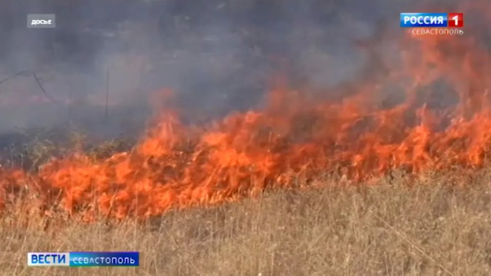 � ����� ��������� ��������� �������������� � 1 �� 4 �������
