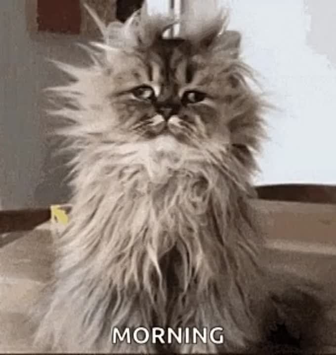 ������ ����, �����������!