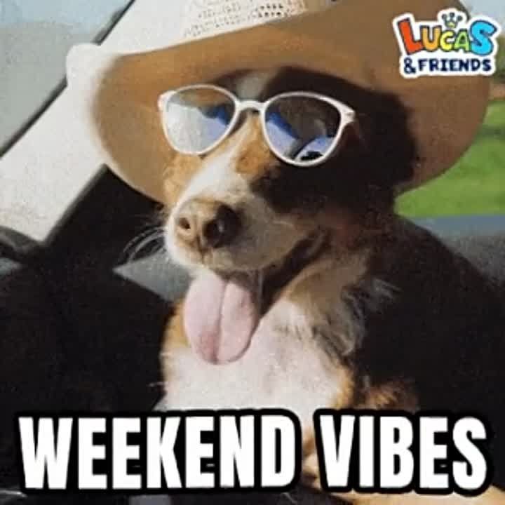 ������ ����, �����-�����!