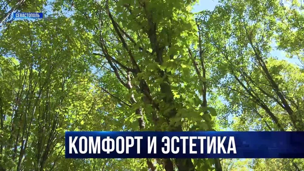 � ����������� ��������������� ������������ ������������, �� ������� ������������� ������ � ������� ����
