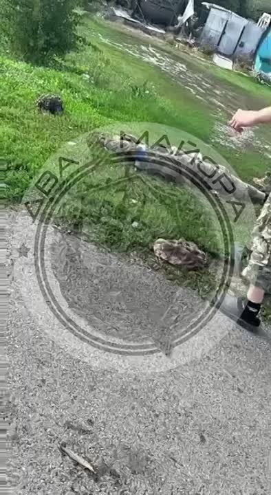 ��� ������: ������� ����. 810-� ��������� ����������� ������� ������� ������ (�. �����������) ���������� ��������� ������� ����� �� ���-82�. ������� ���������� ��������
