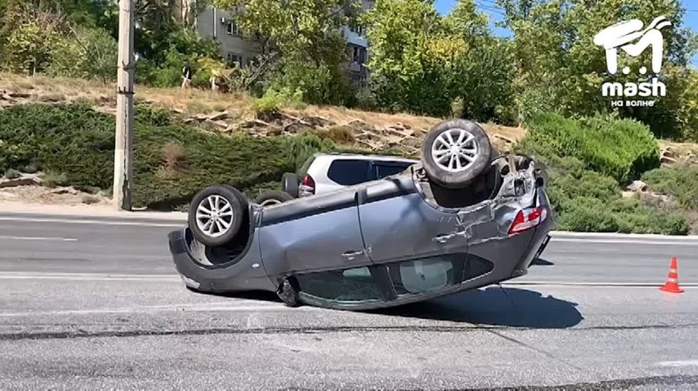 Ƹ����� ��� � �����������: � ������ ������� �������� ����������� ������ ������