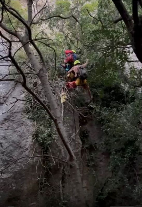 � ����� ����������� ������� ����� � 30-�������� ������ �� �������� �����