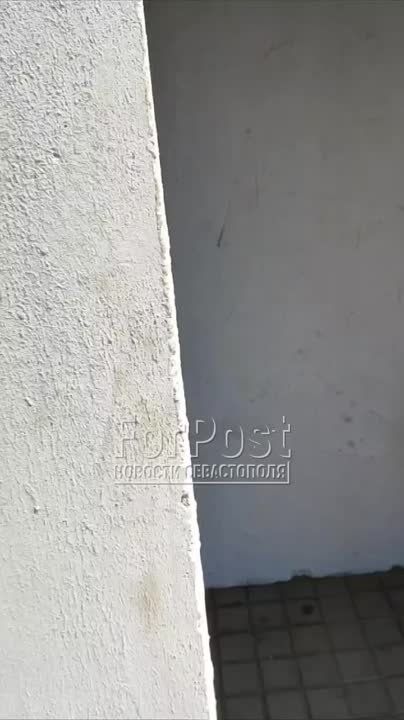 #���_�����. � ��� ������� �� ��. ��������. �� ������ ������� ��������, �� ������� � ������������ ������