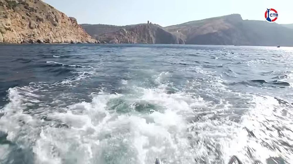 � ��������� ���������� ������������ �������� 2024�