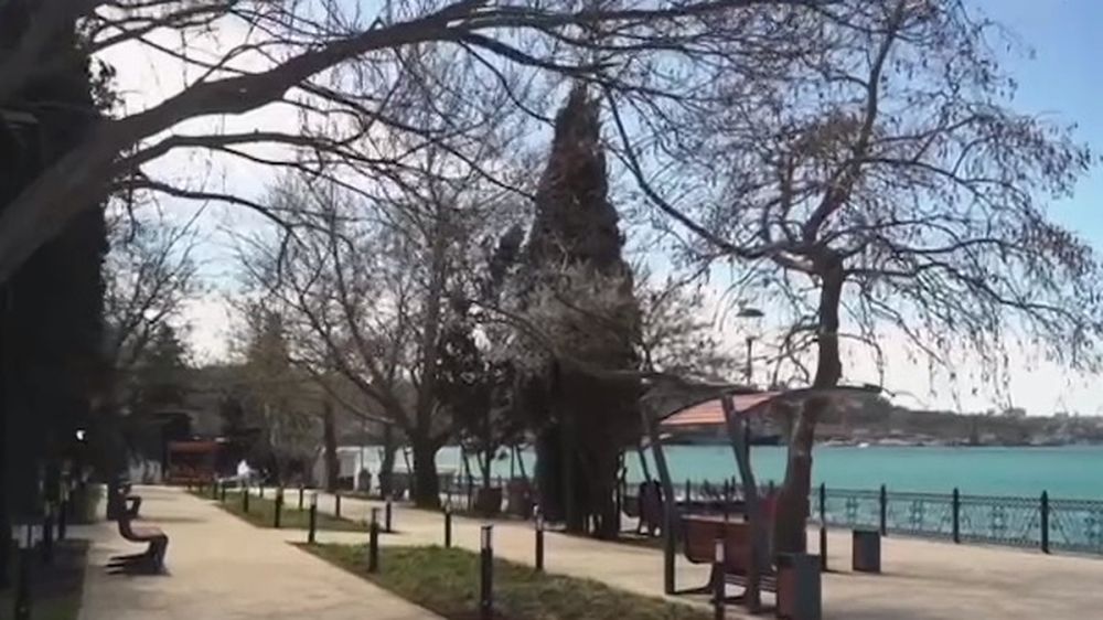 ����� ����������� �������� ��� ����� 26 �������