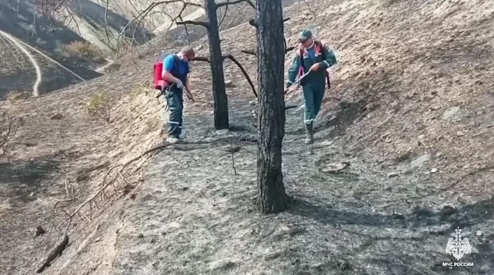������ ����� � ������ ����-��� � ����� ����������� �� 150 ��, � ��� ������