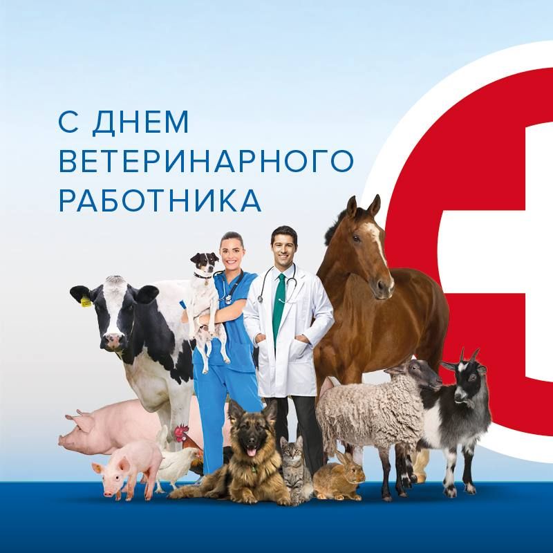 ������� �����: ��������� ��������� � �������� ������������ ������