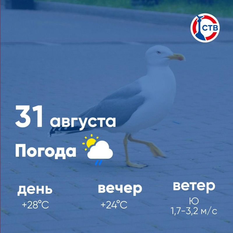 ������ ����, �������������! �������, 31 �������, � ������ ���������� ����������