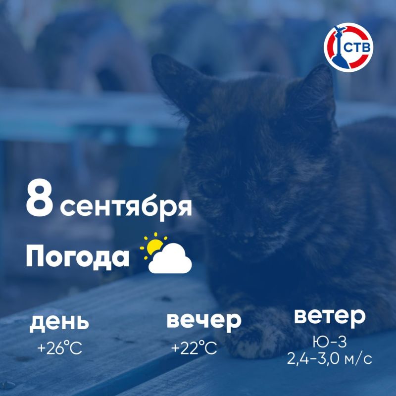 ������ ����, �������������! �������, 8 ��������, � ������ ���������� ����������