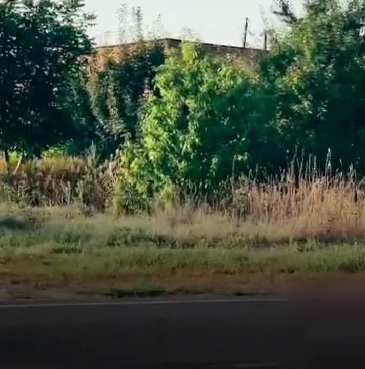 ����������� ������ �� ������� ������� ��������� ����� ������ �� ������