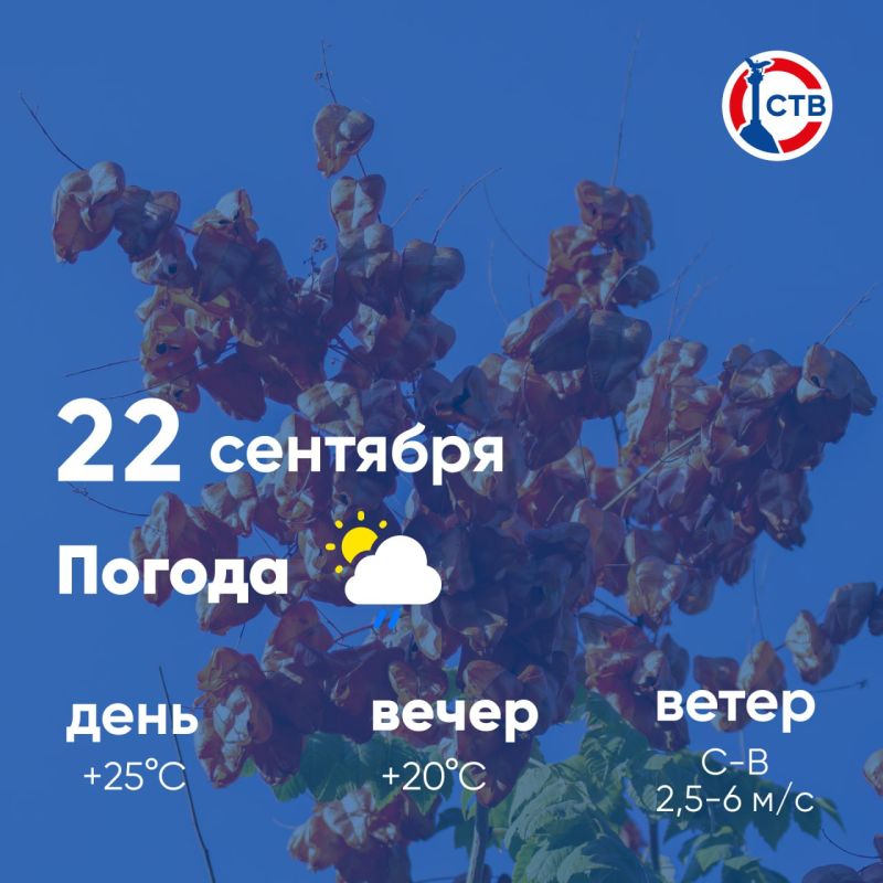 ������ ����, �������������! �������, 22 ��������, � ������ �������