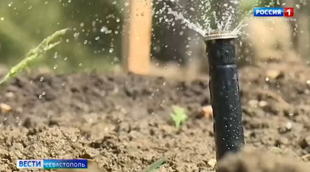 ����������� � ����������� ������ ������� ������� �������������� ������� ������ � ����������