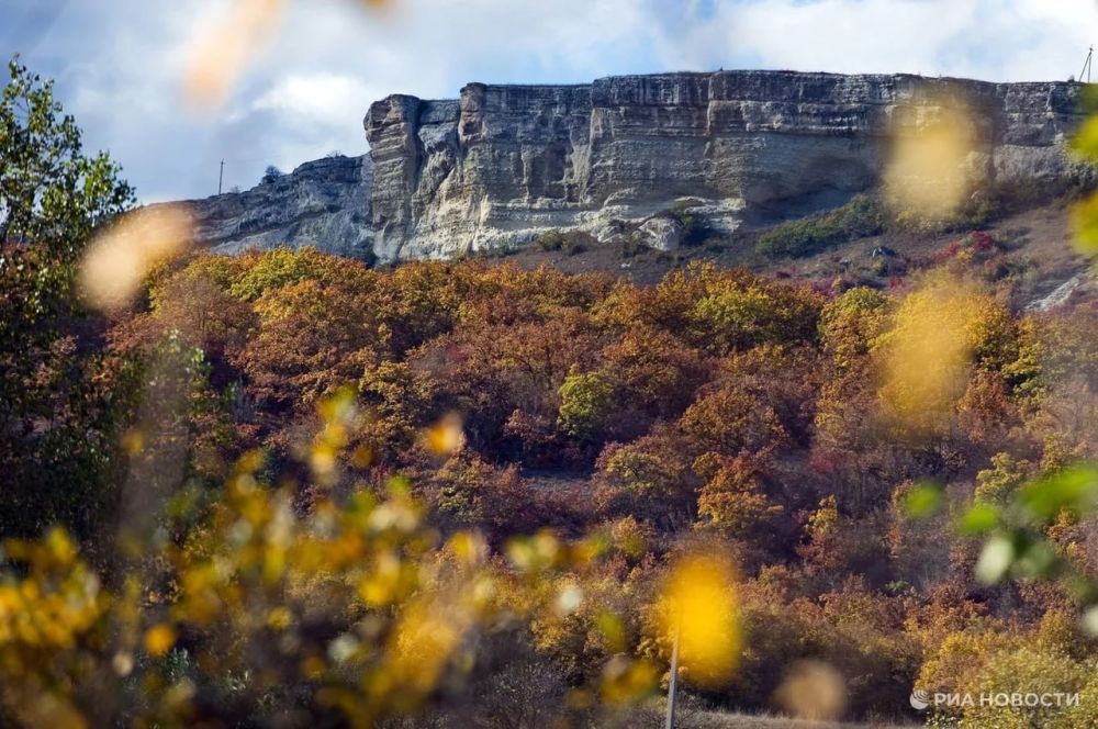 ������� ������ � ����� �� �������