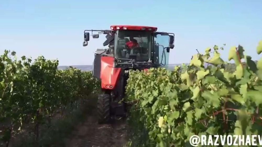 �������� ������ ����� - � ����������� �������� ������� "�����" �������