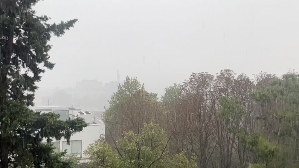 ������ � ������ ������� ����������� 1 �������