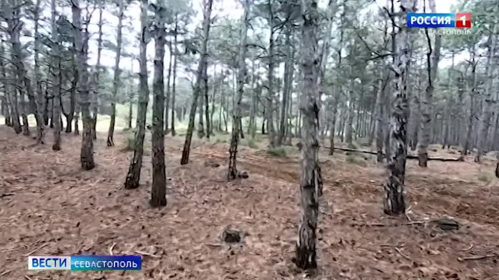 18 � ��������� ��������� ������ �� �������� ������� �������� �� ����������� ���, ��� ��������� �� ��������� � ����������� �����������, � ����� ��������� ����