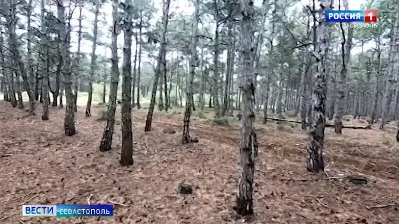 18 � ��������� ��������� ������ �� ������� ����������� �������� �� �����������