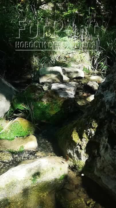 � ������������ ��� � ����������� ������� ������ ��������������� �����