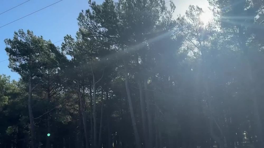 ����� ������ ���� ���� ����� ������������� ����� � ��� ������� ������, ��� ������������� ���������� ����� �������� �������������� ������ � ������� ��� ��������