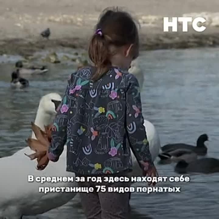 � ����������� ��������� ����� ��������: � ������� ����� ���������� ������