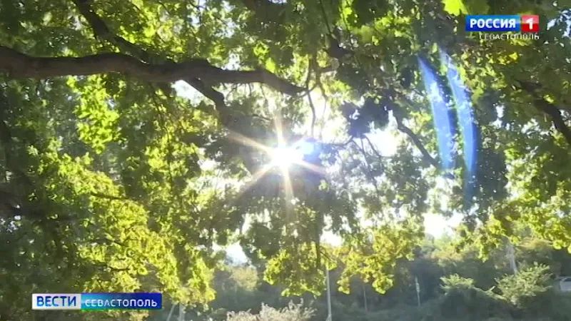������ ��������� �������� ����� ����� ������� �������� �������� � �������� �����