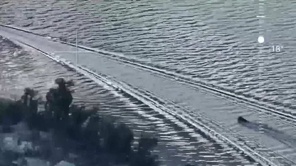 ������ �������� ������� ����� ����� ������������� ����������� ���������� ����������, ��������� � ������� 2024 ����