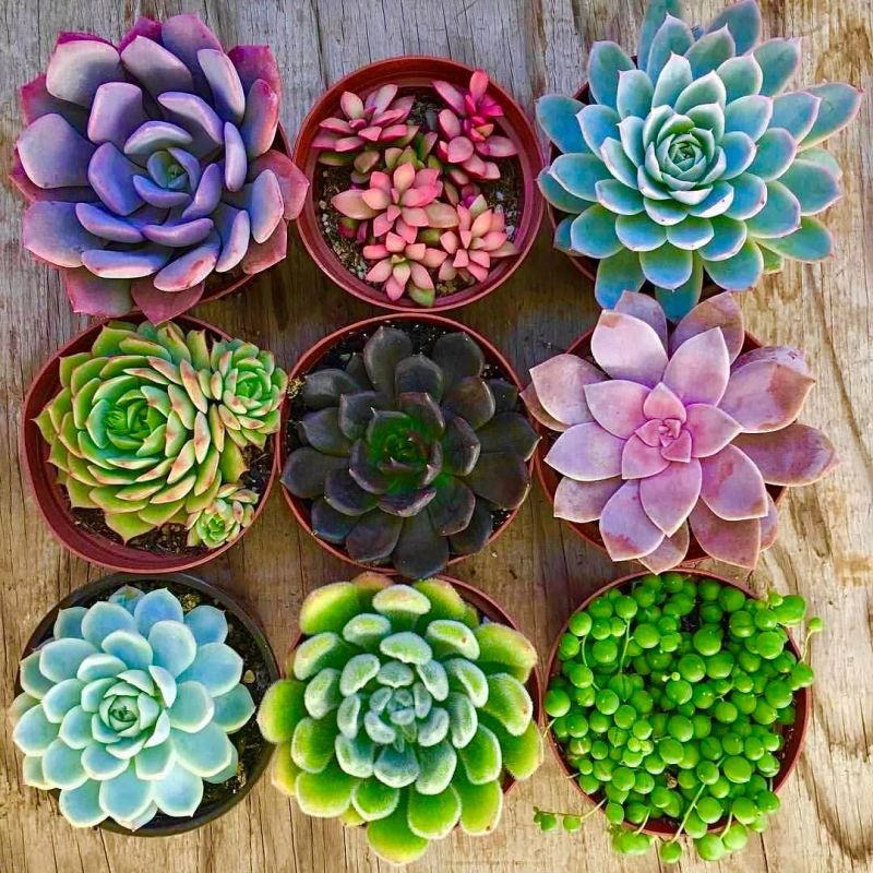 ������� �������� � ����������� ������ 13 �������