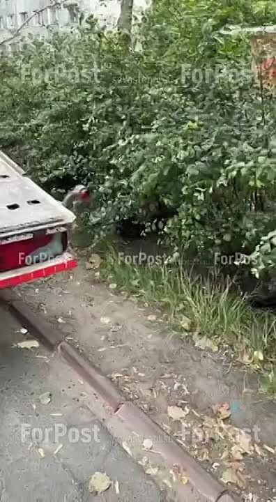 #���_�����. � ������� �� ����� �������� ������� ������, ������� ������� �����, ������ ��������� ����� ������� � �������� ��� �����. ��� ����� ���� ������ �������� � ���� � ������, �� ��� ���������