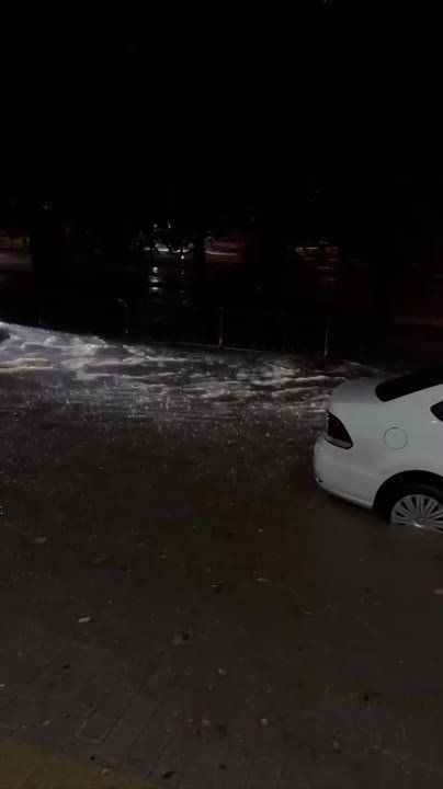 ����� ����������� �������� ������ ������