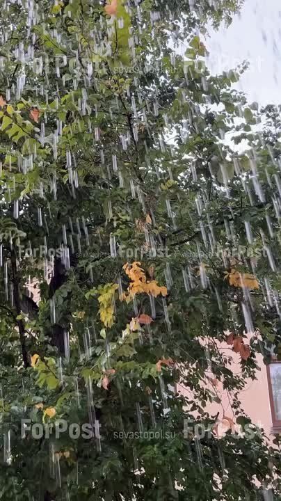 � ����������� ����� ������ ������