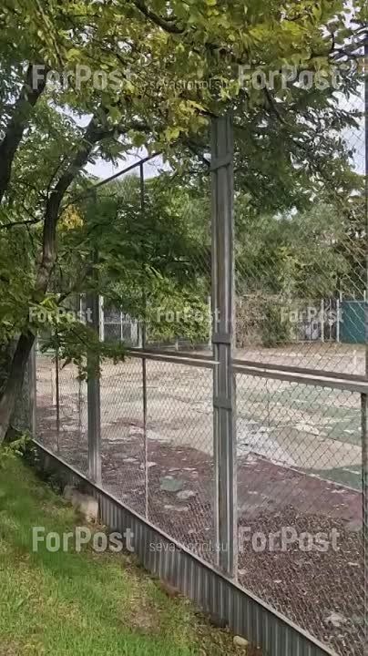 #���_�����. ��������� ����� ����� ����� ��. ����� ����� ��-�������� � ���������� ���������. ���� ������, ��� ��� ������ ���������� ��������������� �� ��� ������ ����� ����