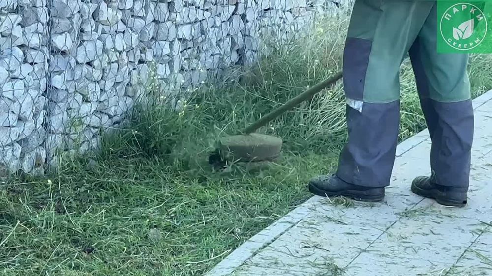 � ����� ���������� ���������� ��������� "�������������" �������