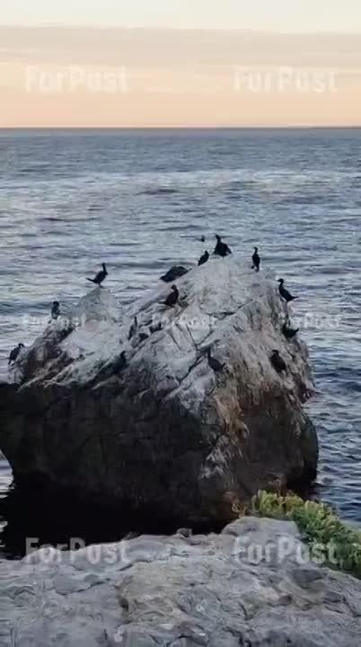 ������� �� ����� ��������������� ��������: �� ����� �� ����� ���� ���������� ������