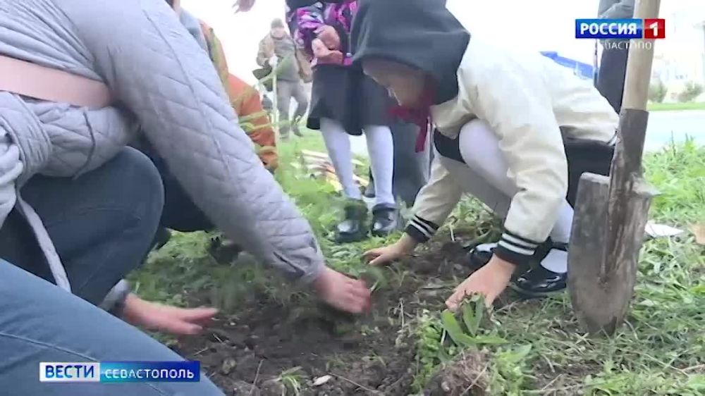 � � ����� �������+� ������� ����� ������� ������