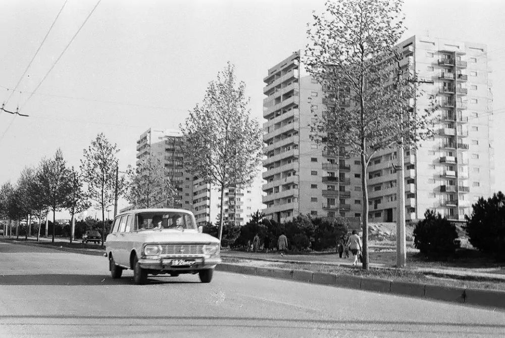 �������� �������� ���������, 1978 ���