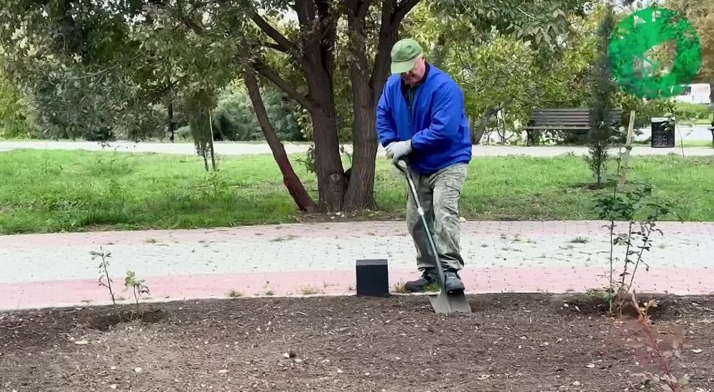 � ������ ������� ���������� � ����������� ����������� ������� � ������� ���������: