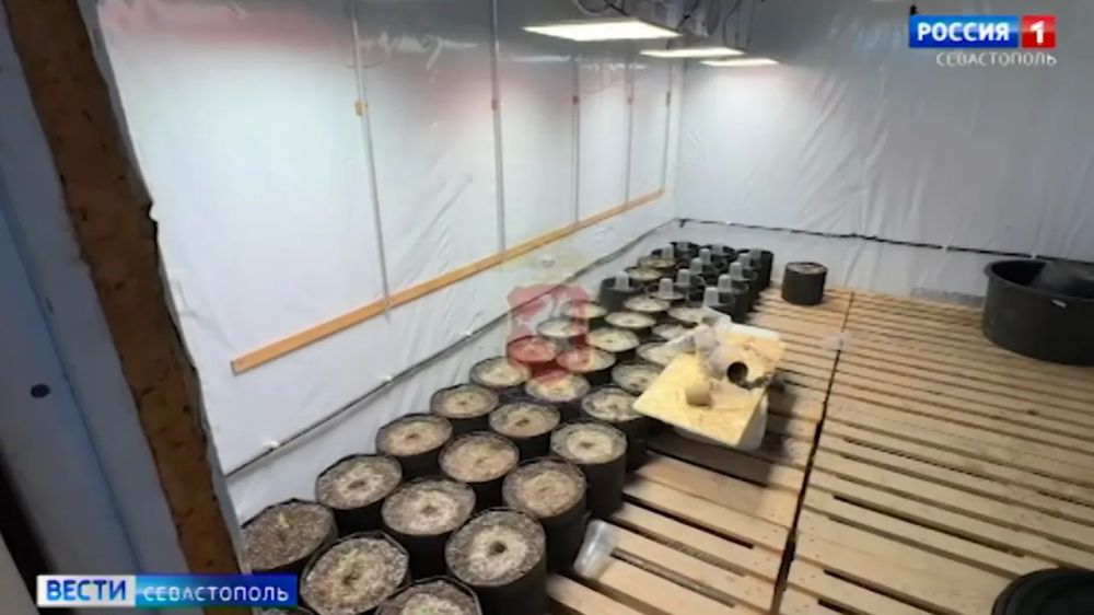 50 ������ ������� �� ����� �������� ���� ���������� � ������ ������������� �����������