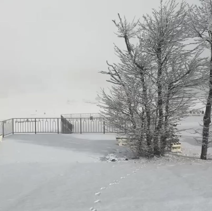 ������ ������ ����� ������� � �������� �����